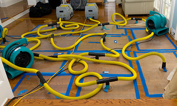 Professional Crawl Space Water Removal technician working in High Bridge, WA